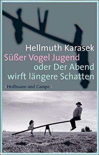 Süßer Vogel Jugend: oder Der Abend wirft längere Schatten (Gesellschaftsromane)