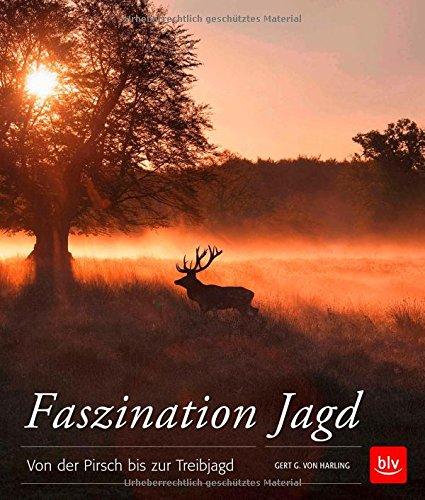 Faszination Jagd: Von der Beizjagd bis zur Pirsch