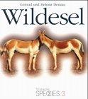 Wildesel