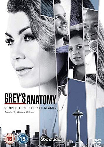 Grey's Anatomy - Season 14 [UK Import]