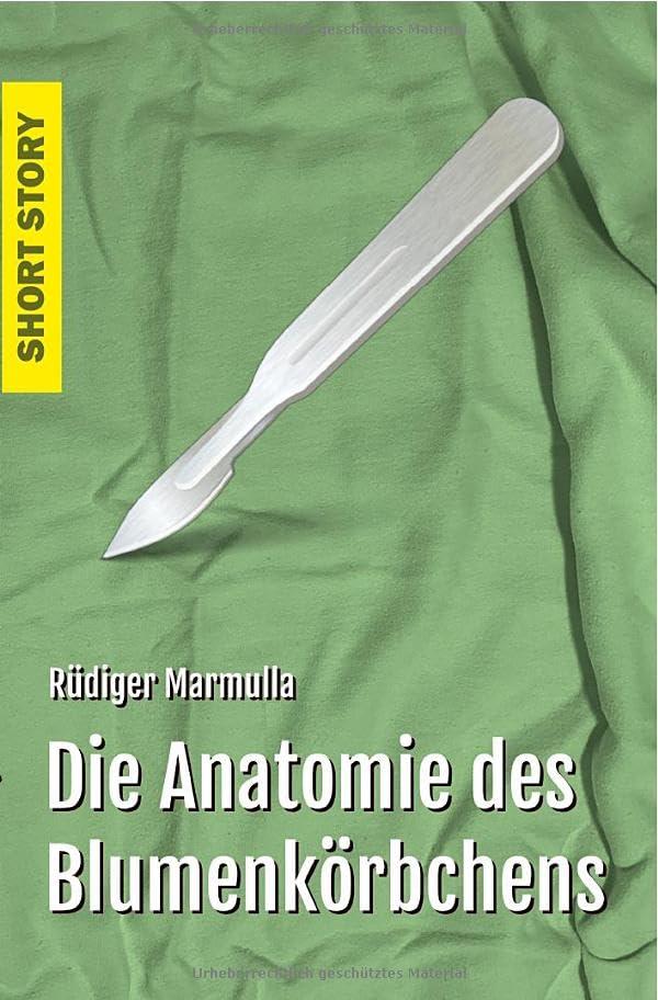 Die Anatomie des Blumenkörbchens