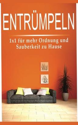 Entrümpeln: 1x1 für mehr Ordnung und Sauberkeit zu Hause (Haushaltstipps, Haushaltsführung, Haushaltsratgeber, Haushalt organisieren, ... Entrümpeln sie ihr Leben, Entrümpelung)