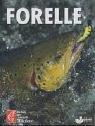 Forelle