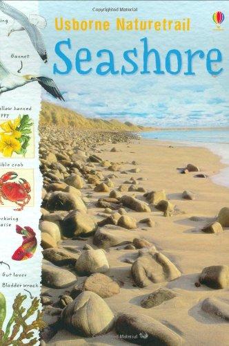 Seashore (Spotter's Sticker Books)