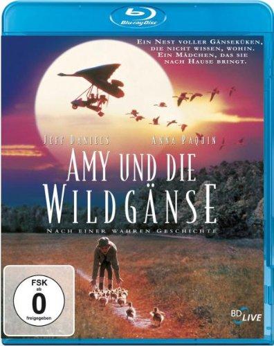 Amy und die Wildgänse [Blu-ray]