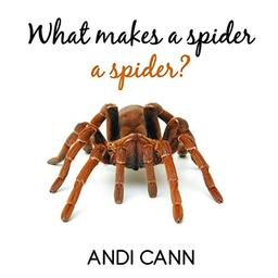 What Makes a Spider a Spider (Animal Classes, Band 6)