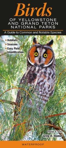 Birds of Yellowstone & Grand Teton National Parks: A Guide to Common & Notable Species