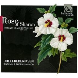 Rose of Sharon