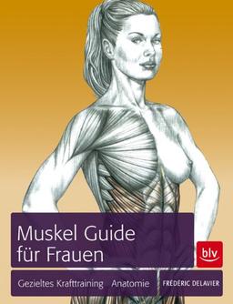 Muskel-Guide speziell für Frauen: Gezieltes Training · Anatomie