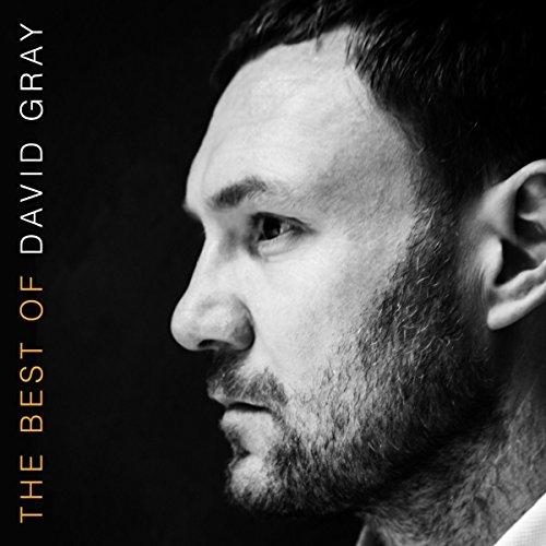 The Best Of David Gray (2LP/Gatefold) [Vinyl LP]