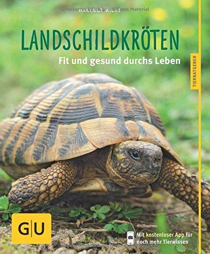 Landschildkröten: Fit und gesund durchs Leben