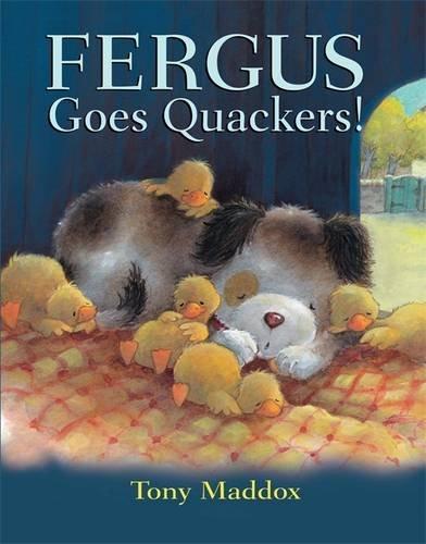 Fergus Goes Quackers