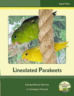 Lineolated Parakeets: Extraordinary Parrots in Compact Format