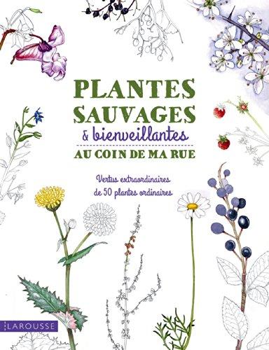 Plantes sauvages & bienveillantes : au coin de ma rue : vertus extraordinaires de 50 plantes ordinaires