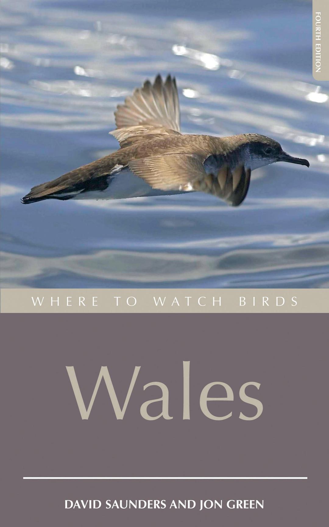 Where to Watch Birds in Wales