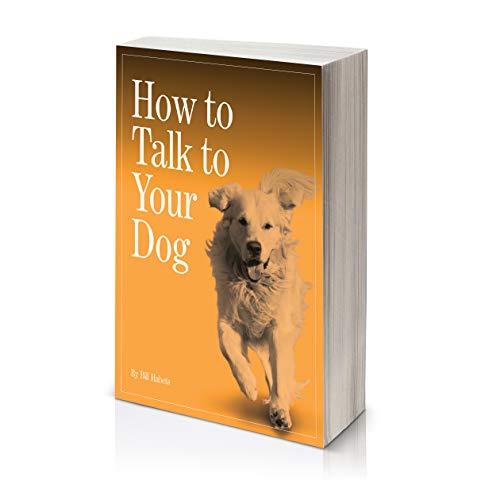 How to Talk to Your Dog