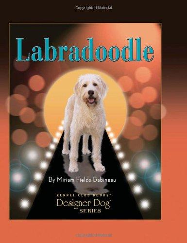 Labradoodle (Designer Dog)