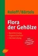 Flora der Gehölze. Bestimmung - Eigenschaften - Verwendung