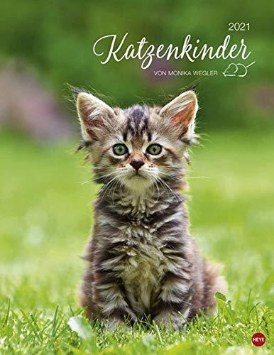 Katzenkinder Posterkalender von Monika Wegler - niedlicher Wandkalender 2021 mit vielen Fotos und lustigen Mini-Geschichten - mit Monatskalendarium - Format 34 x 44 cm