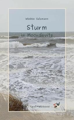 Sturm in Moordevitz: Ein Krimi zum großen Sturmhochwasser an der Ostsee 1872