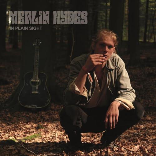 In Plain Sight [Vinyl LP]