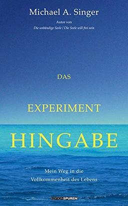 Das Experiment Hingabe: Mein Weg in die Vollkommenheit des Lebens