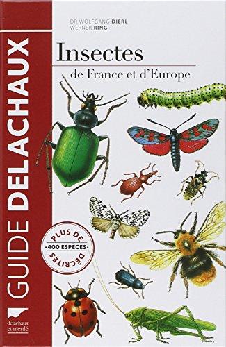 Insectes de France et d'Europe