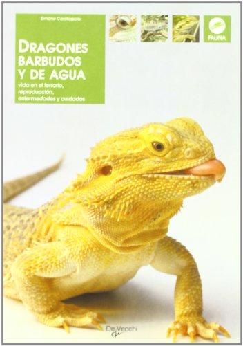 Dragones barbudos y de agua (Animales)