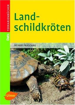 Landschildkröten