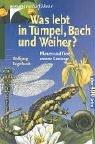 Was lebt in Tümpel, Bach und Weiher?