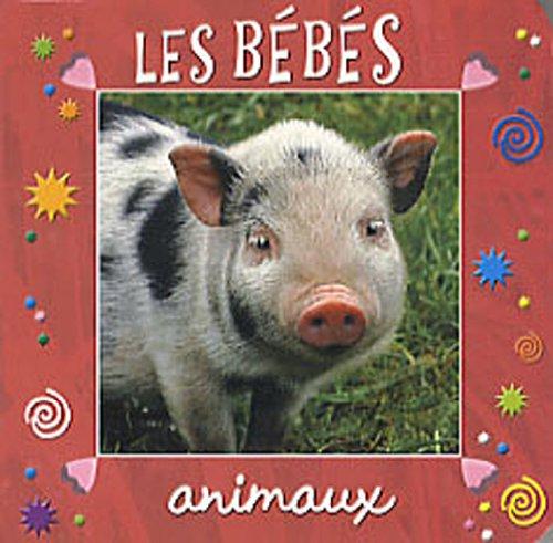 Les bébés animaux