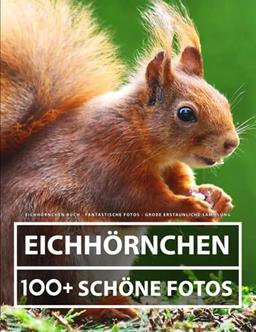 Eichhörnchen Buch - Fantastische Fotos - Große Erstaunliche Sammlung: 100 Wunderschöne Bildern - Für Kinder und Erwachsene