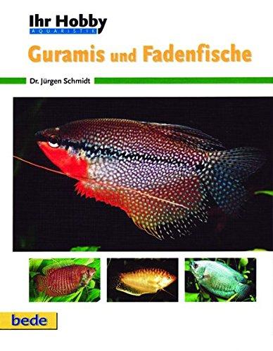 Guramis und Fadenfische, Ihr Hobby