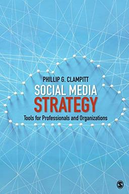 Social Media Strategy: Tools for Professionals and Organizations