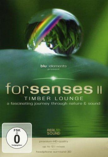 Forsenses II