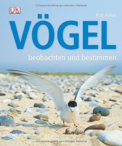 Vögel beobachten und bestimmen