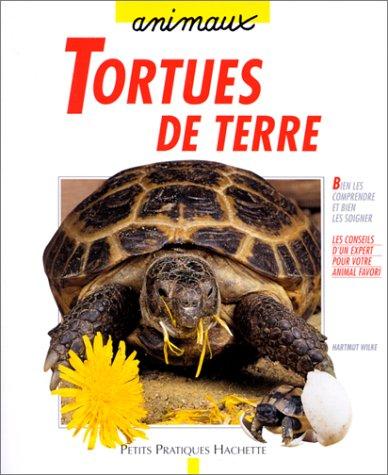 Tortues de terre