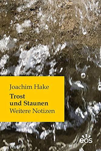 Trost und Staunen: Weitere Notizen