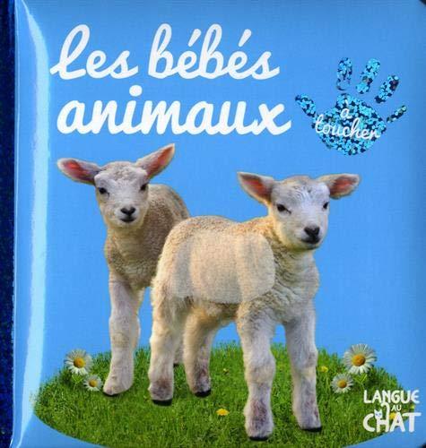 Les bébés animaux : à toucher