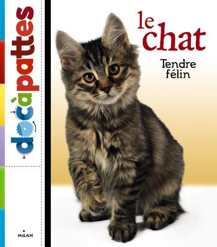 Le chat : tendre félin