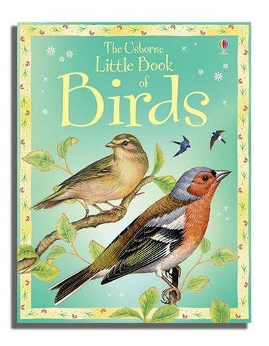 Little Book of Birds (Usborne Little Books)