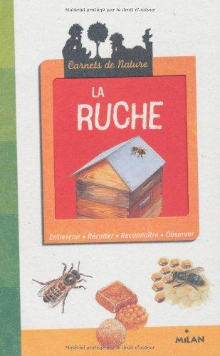 La ruche : entretenir, récolter, reconnaître, observer