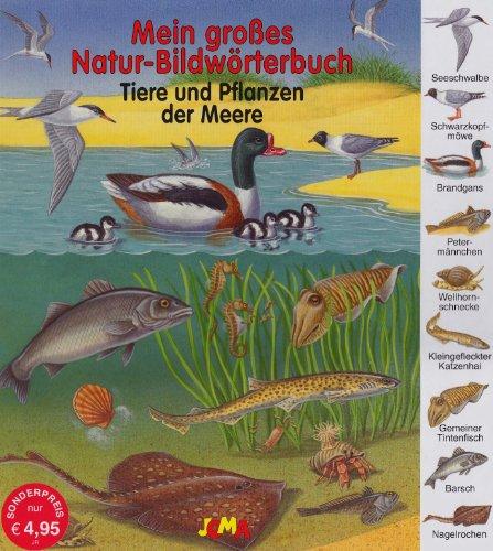 Tiere und Pflanzen der Meere: Mein großes Natur Bildwörterbuch