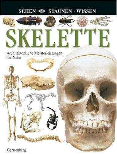 Skelette. Achitektonische Meisterleistungen der Natur