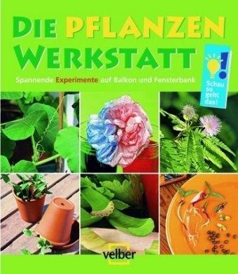 Die Pflanzen-Werkstatt: Spannende Experimente auf Balkon und Fensterbank