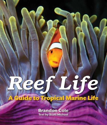 Reef Life: A Guide to Tropical Marine Life