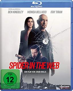 Spider in the Web [Blu-ray]