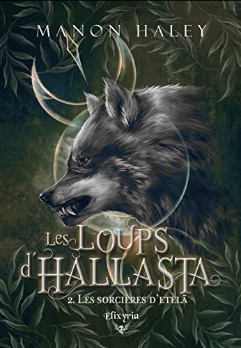 Les loups d'Hallasta 2: Les sorcières d'Etelä