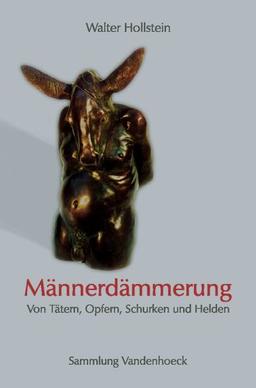 Männerdämmerung. Von Tätern, Opfern, Schurken und Helden (Sammlung Vandenhoeck)