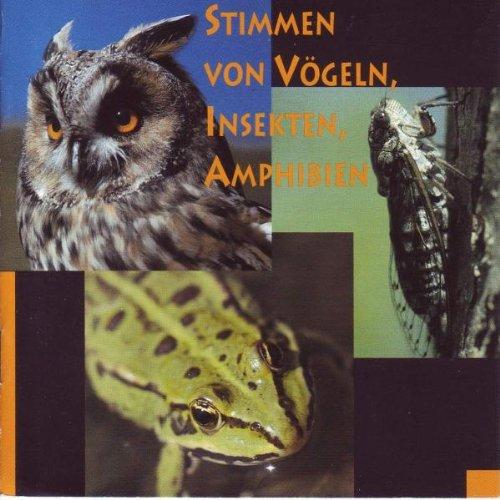 Stimmen Von Vögeln,Insekten,Amphibien